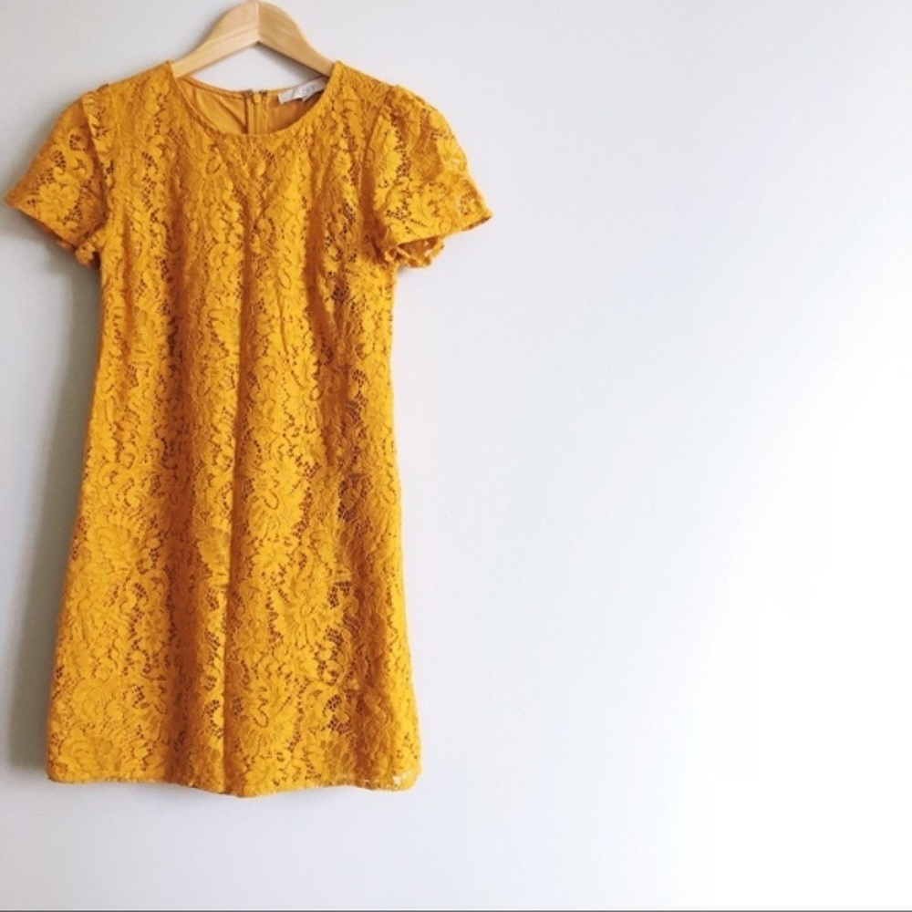 Loft | Mustard Yellow Lace Dress